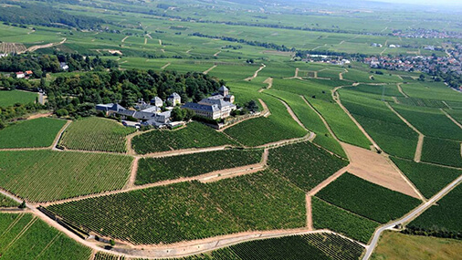 vineyards schloss-johannisberg